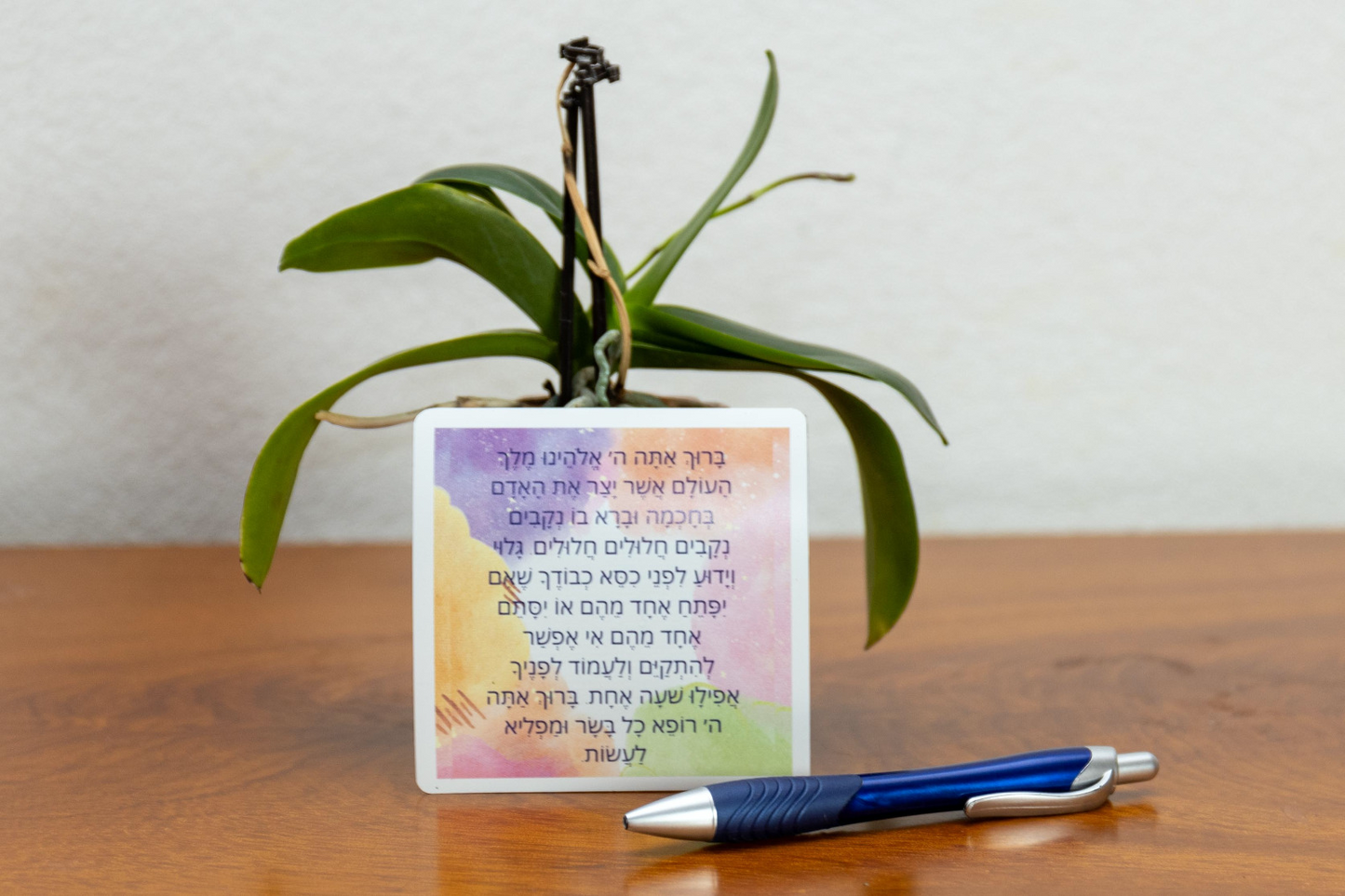 Yid in Sync, Asher Yatzar tefilla magnet, colourful